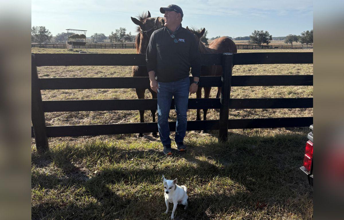 In the foreground a little dog, on grass, behind the dog, a man stands in front of four board paddock fencing, with two horses behind the fence in a grass pasture.