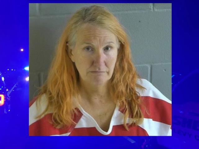 mugshot of Levy County woman Laura Hawks who is charged with murder