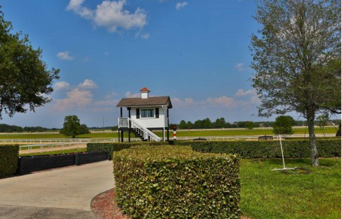 A hedge in the foreground, grass behind the hedge, to the left a sidewalk, to the right a tree, in the background, a training tracks, trees, grass and a viewing stand.