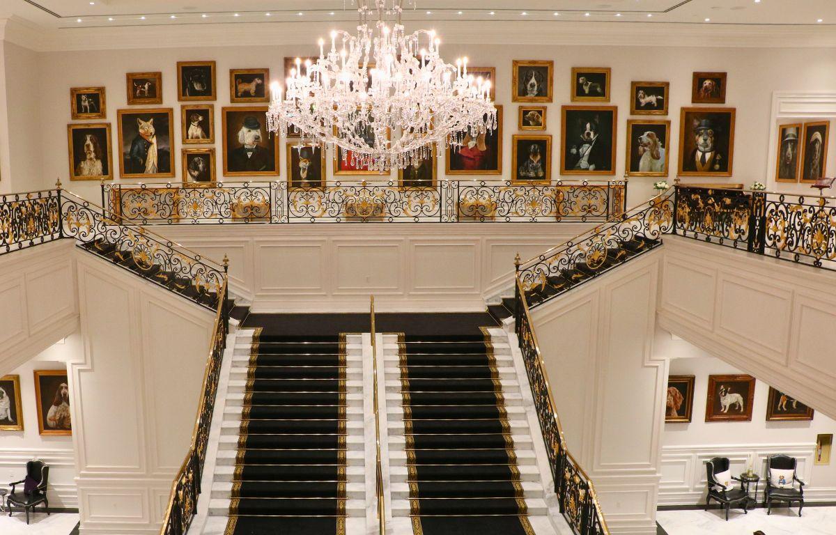 A grand staircase leads up to a second floor of a large, white manor. Paintings of dogs line the wall behind the stairs on the second floor. A large chandelier hangs above the staircase.