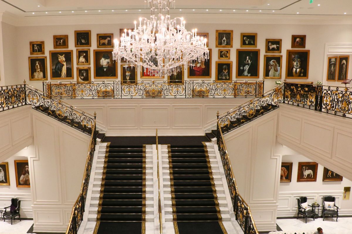 A grand staircase leads up to a second floor of a large, white manor. Paintings of dogs line the wall behind the stairs on the second floor. A large chandelier hangs above the staircase.