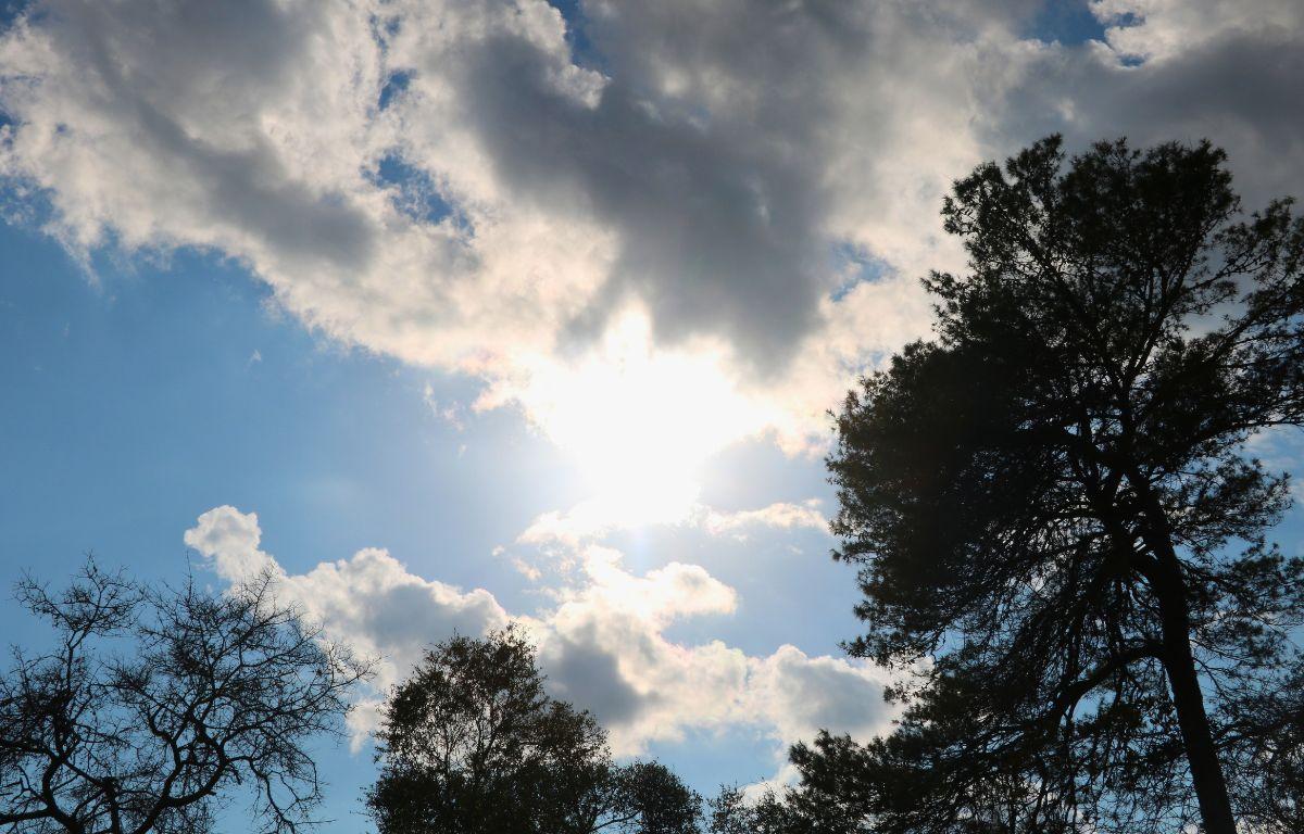 Dark tree outlines stand tall in front of a blue sky with a mix of gray and dark clouds. The sun is just behind the clouds creating a bright glare.