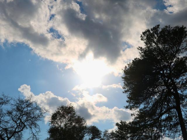 Dark tree outlines stand tall in front of a blue sky with a mix of gray and dark clouds. The sun is just behind the clouds creating a bright glare.