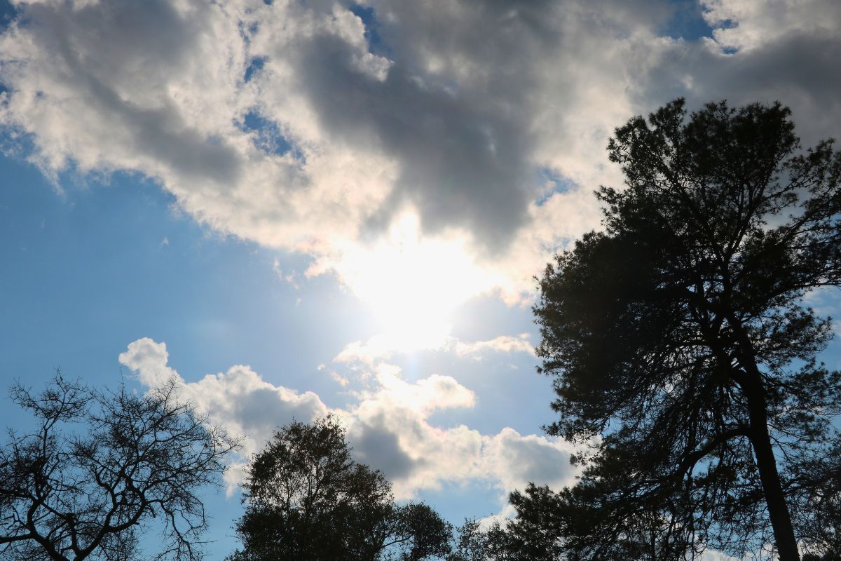 Dark tree outlines stand tall in front of a blue sky with a mix of gray and dark clouds. The sun is just behind the clouds creating a bright glare.