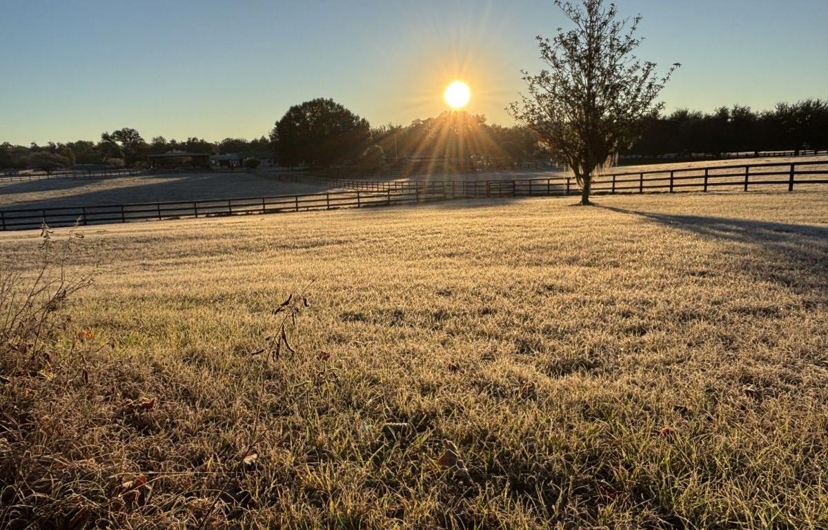 sunrise over a field of frosty grass in marion county florida