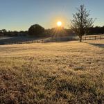 sunrise over a field of frosty grass in marion county florida