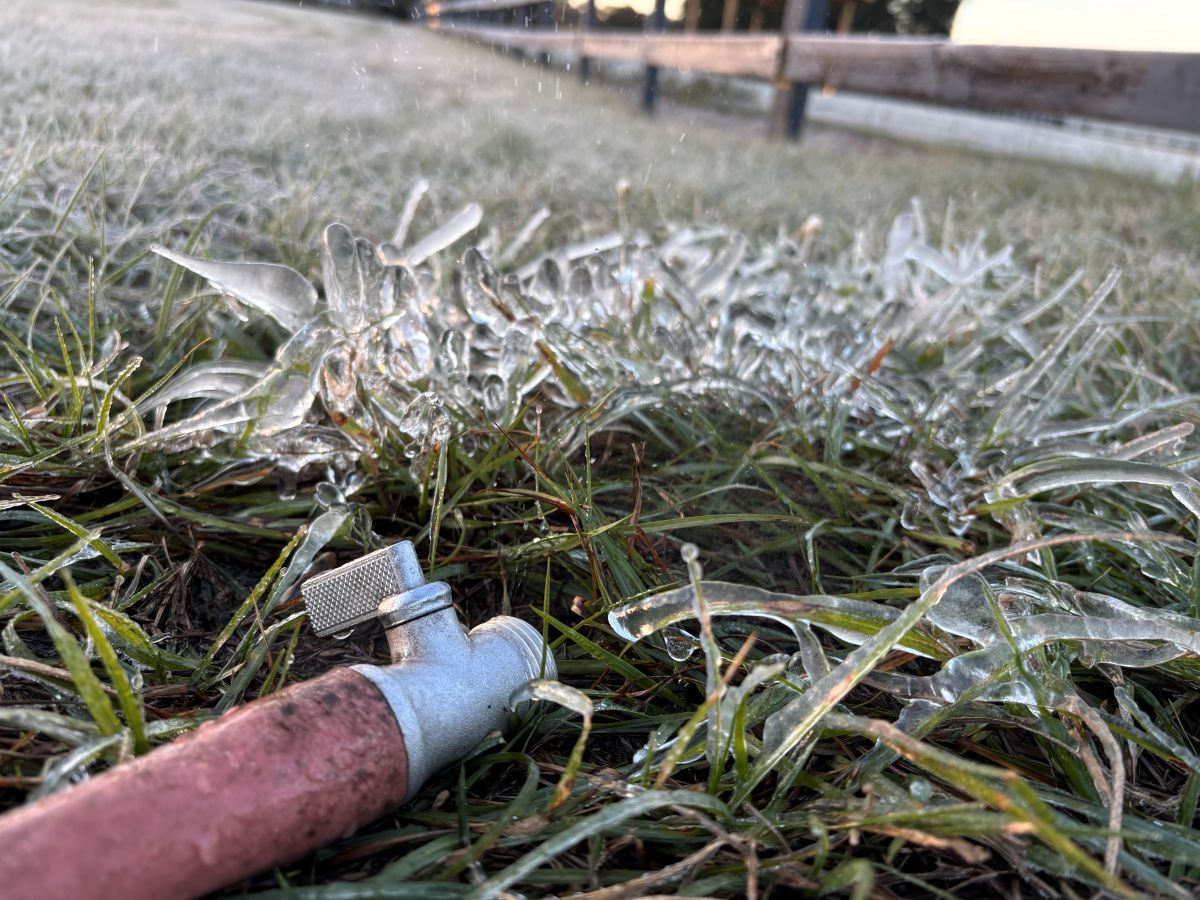 cold weather causes water running from a hose to freeze