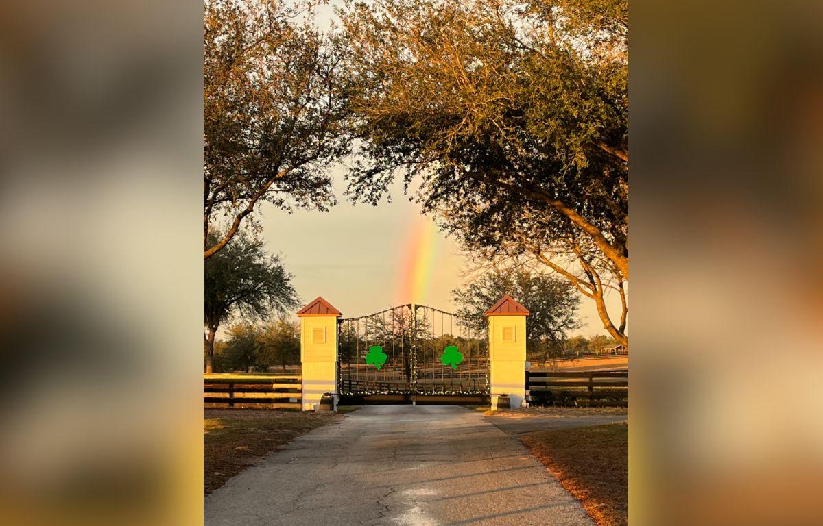 Pavement with trees on the foreground, gate with shamrock emblems, and in the background, trees, grass and a rainbow.