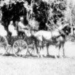 A black-and-white photo of a eight spring wagon with two horses pulling it.
