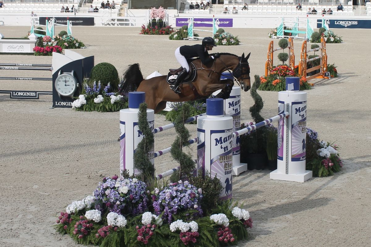 A rider and horse jumping over an oxer jumping effort, with multiple jumping efforts in the background. 