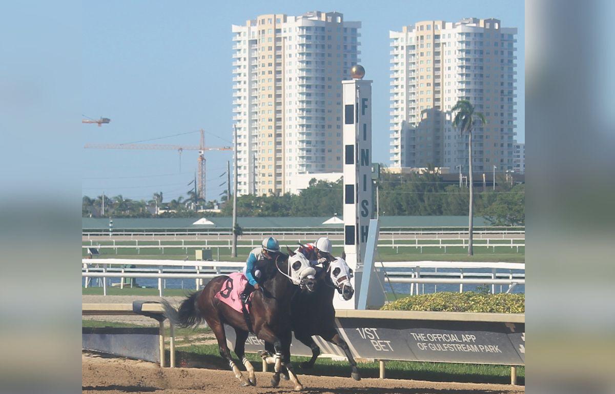 Tall buildings, cranes, palms, turf and tapeta courses in the background, with horses racing over a dirt racetrack in front of a sizable finish line marker.
