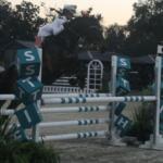 A horsewoman dressed in costume, wearing a naval themed outfit, riding a horse and clearing a jumping effort, with the standard saying hits, in a ring, with trees in the background.