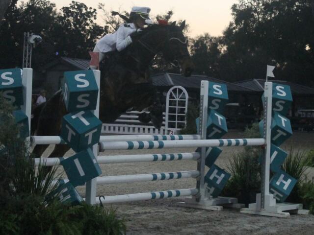 A horsewoman dressed in costume, wearing a naval themed outfit, riding a horse and clearing a jumping effort, with the standard saying hits, in a ring, with trees in the background.