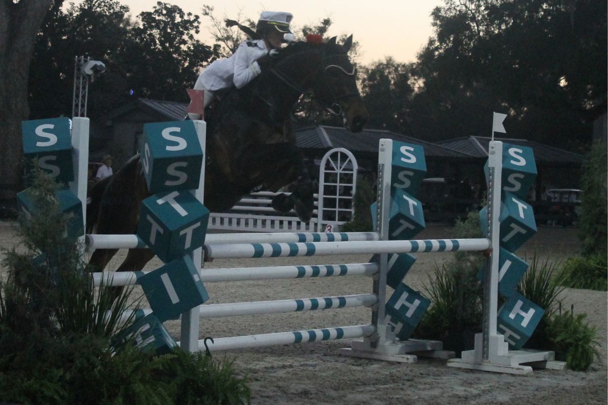 A horsewoman dressed in costume, wearing a naval themed outfit, riding a horse and clearing a jumping effort, with the standard saying hits, in a ring, with trees in the background.