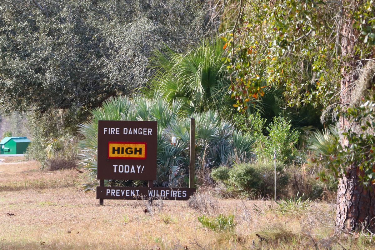 A wood sign features white text reading, "Fire Danger Today! Prevent Wildfires." In the center of the sign is a yellow box with a red border with black text reading, "High." The sign is placed in a forest.
