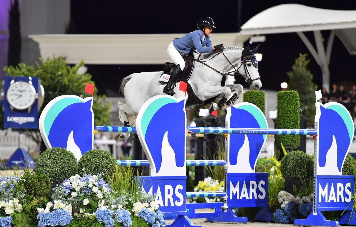 A horsewoman on in a blue blazer riding a gray horse clear a jumping effort, with MARS Standard, with a canopy in the background.
