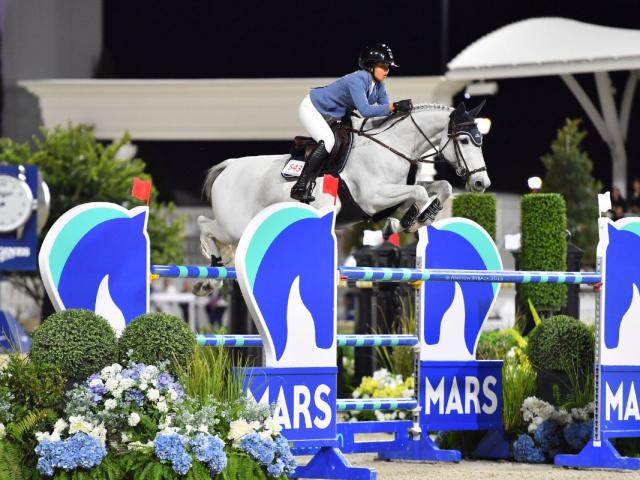 A horsewoman on in a blue blazer riding a gray horse clear a jumping effort, with MARS Standard, with a canopy in the background.