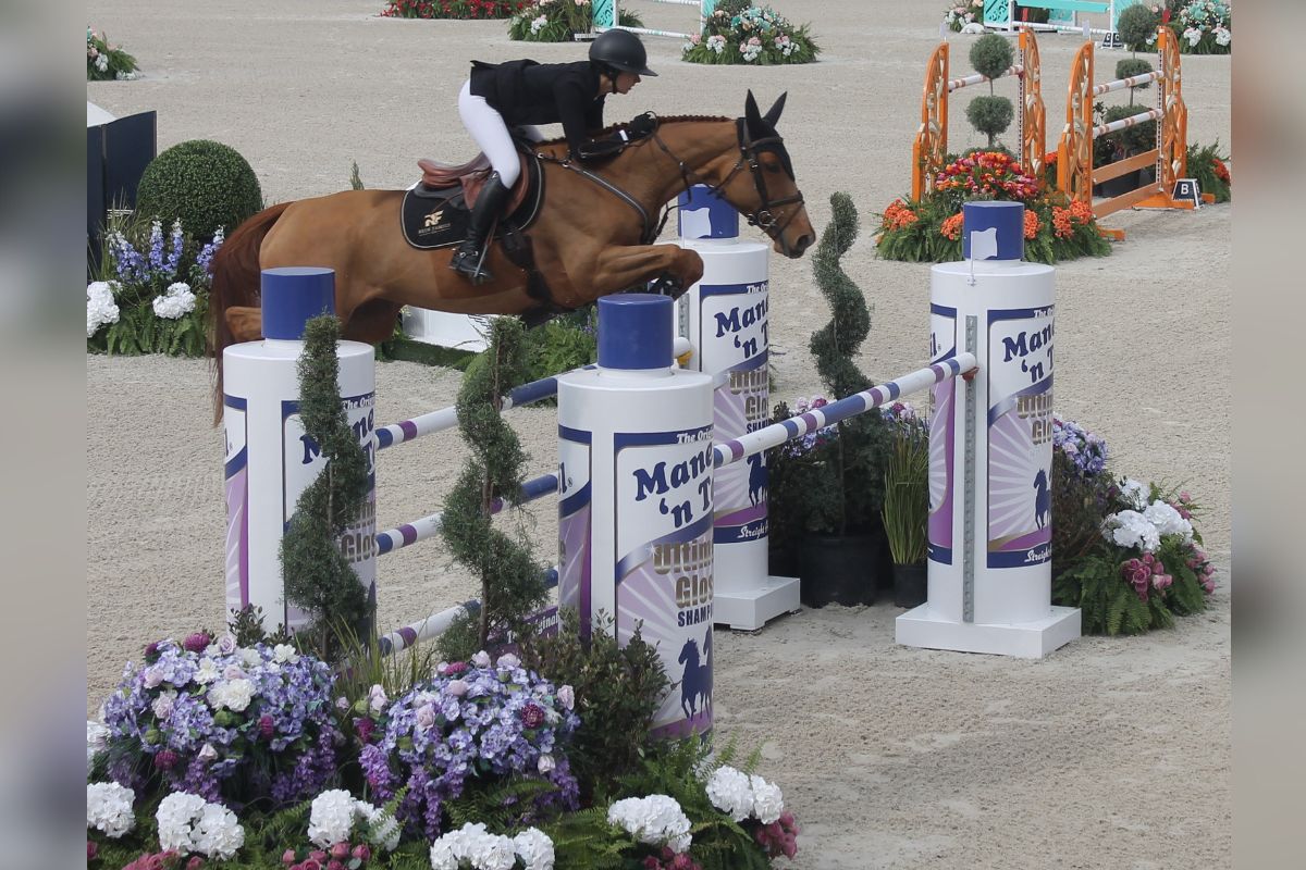 A horse and rider jumping over an oxer, with plastic flowers on either side of the jumping effort, a series of vertical jumping effort in the background, with the surface being synthetic footing. 