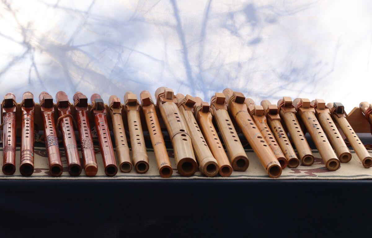 Recorders are lined up on a table under a white canopy with trees creating shadows on the canopy.