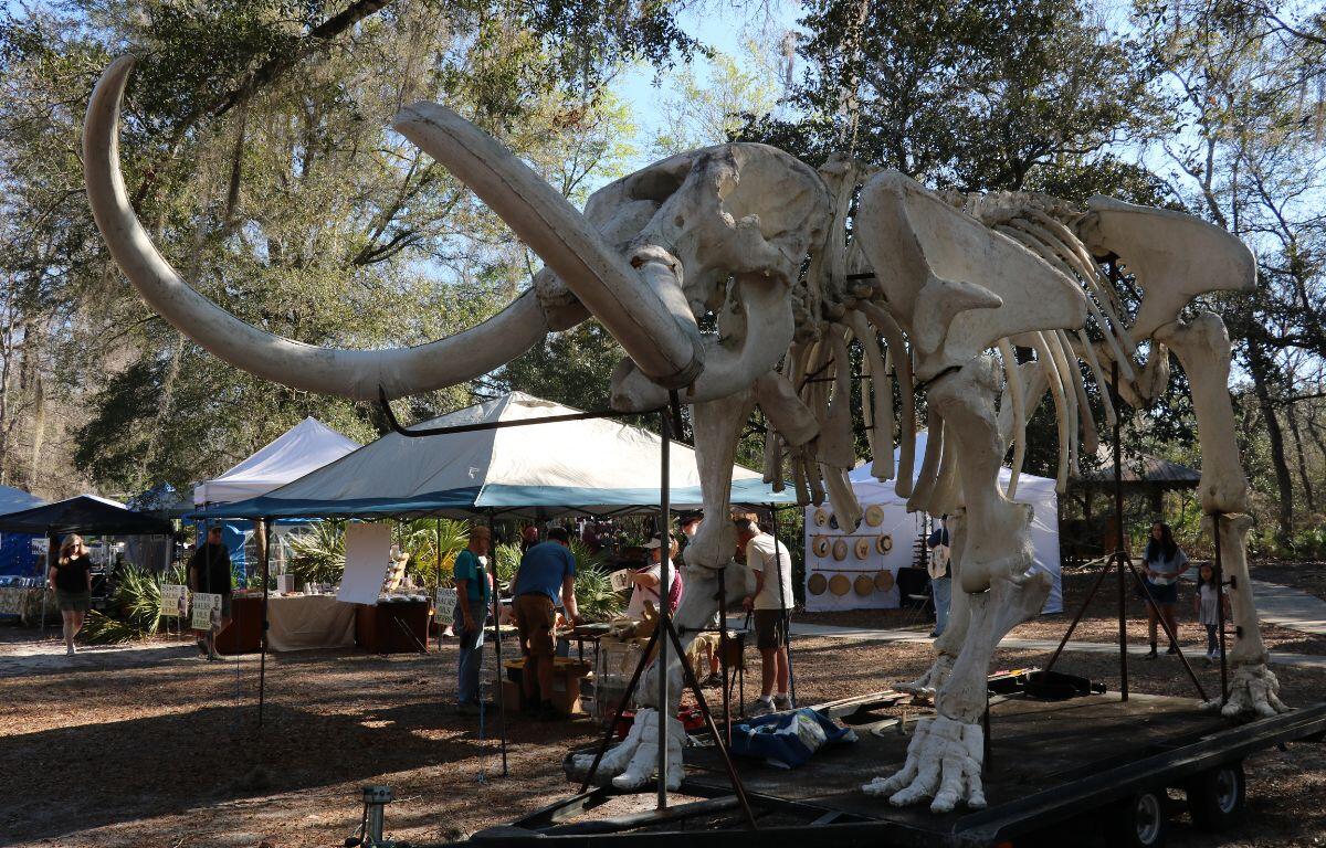 A large display of mammoth bones stands in the middle of an outdoor market with canopies and woods surrounding the area.