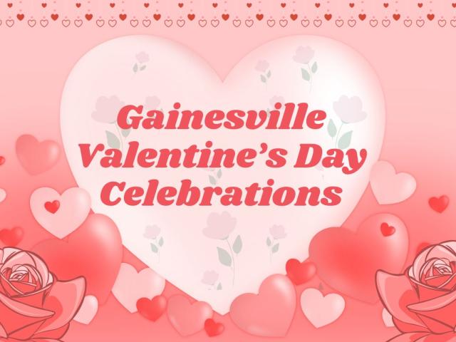 A graphic with a pink background features a large, light pink heart with faded roses in it. In the center of heart, pink text reads, "Gainesville Valentine's Day Celebrations." Smaller pink and red hearts surround the large one. Two pink roses are in either corner of the bottom of the graphic. Toward the top are strings of tiny pink and red hearts.