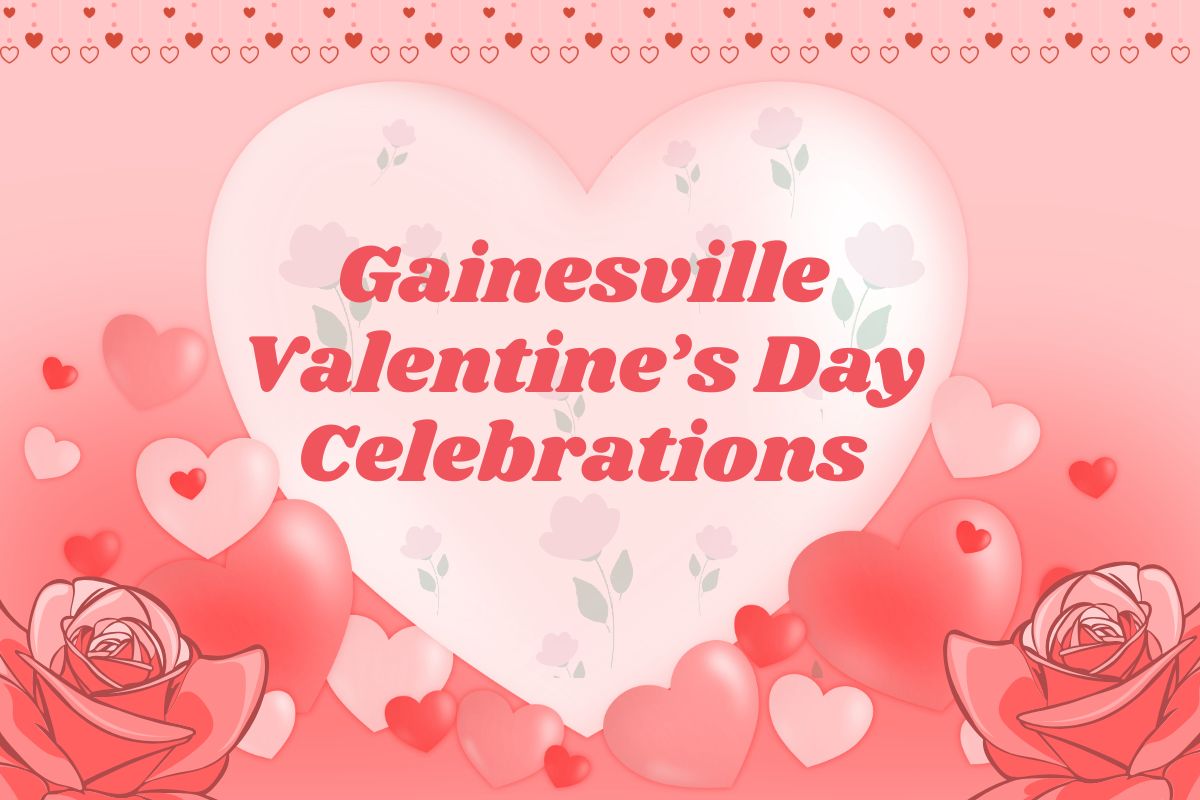 A graphic with a pink background features a large, light pink heart with faded roses in it. In the center of heart, pink text reads, "Gainesville Valentine's Day Celebrations." Smaller pink and red hearts surround the large one. Two pink roses are in either corner of the bottom of the graphic. Toward the top are strings of tiny pink and red hearts.