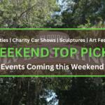 A brown sign reads, "Florida's Silver Springs" in bold white letters with trees surrounding it. A graphic in the foreground features a transparent brown box with a green border. Green and white text is in the center reading, "Oddities | Charity Car Shows | Sculptures | Art Festival. WEEKEND TOP PICKS. Events Coming this Weekend."