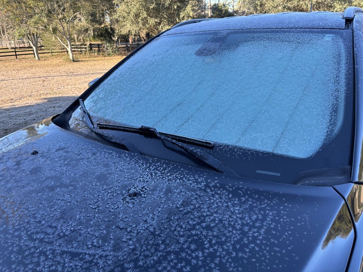 frost on a car hood in summerfield florida for 352today