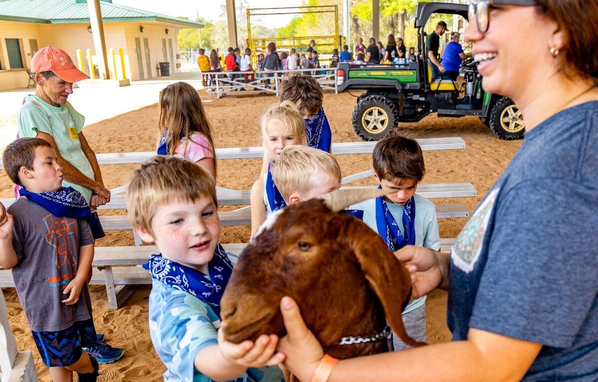 a young boy plays with a goat at the soutneastern youth fair in marion county