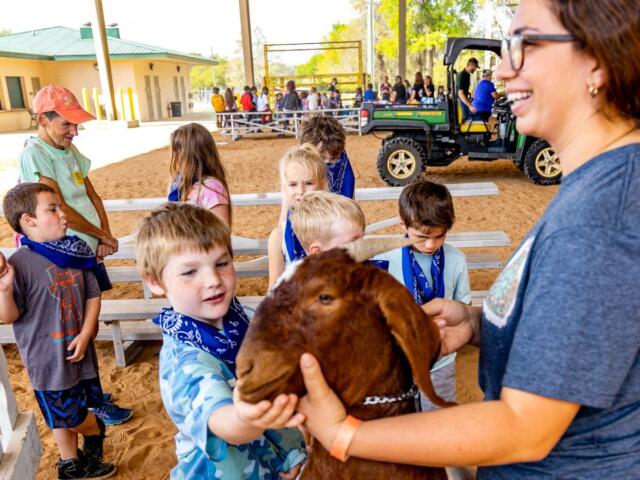 a young boy plays with a goat at the soutneastern youth fair in marion county