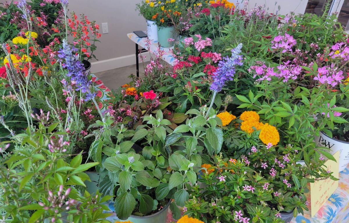 Colorful garden display with blooming flowers and decorative outdoor items arranged on a table.