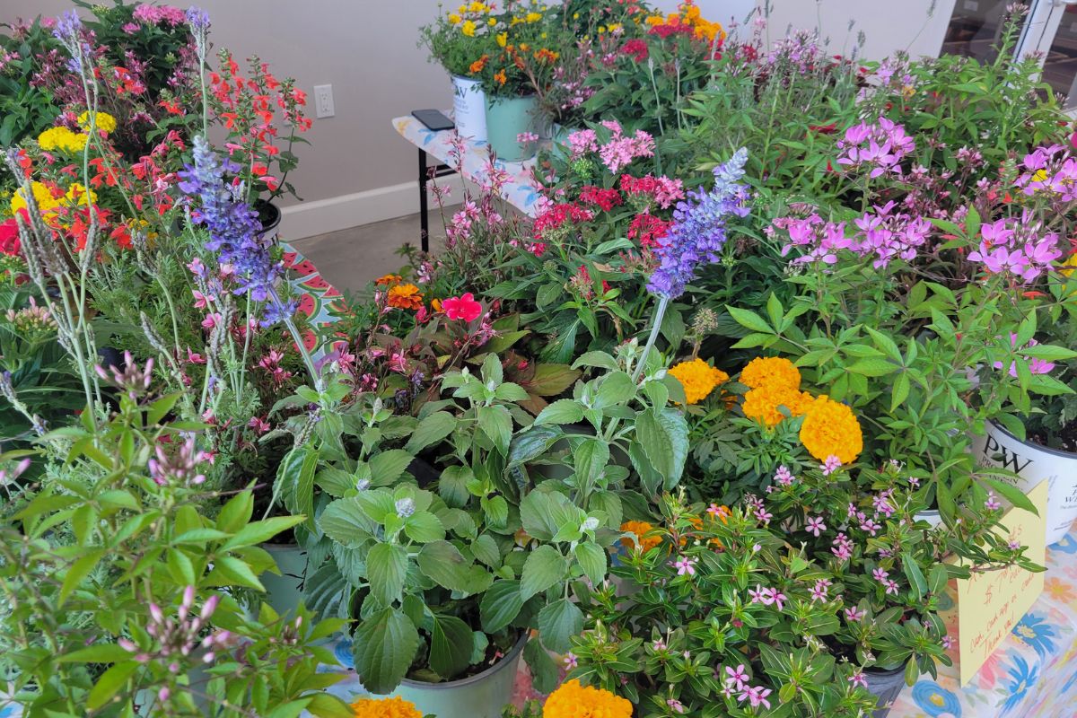 Colorful garden display with blooming flowers and decorative outdoor items arranged on a table.