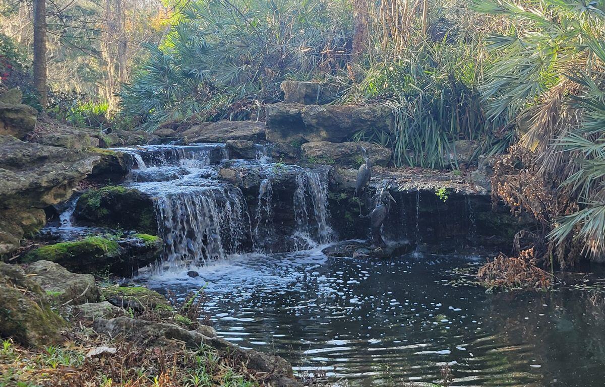 A colored image of a waterfall surrounded by greenery.