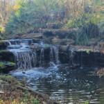 A colored image of a waterfall surrounded by greenery.