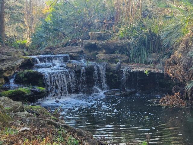 A colored image of a waterfall surrounded by greenery.