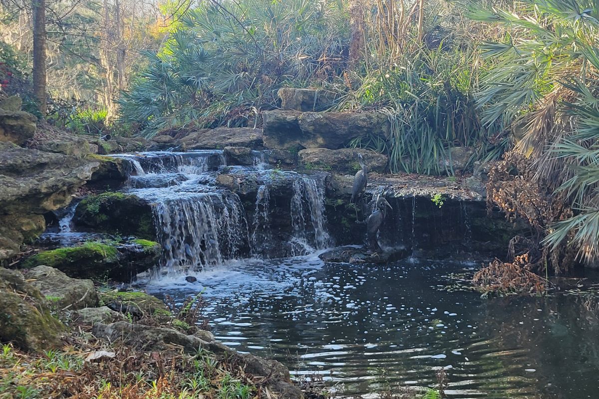 A colored image of a waterfall surrounded by greenery.