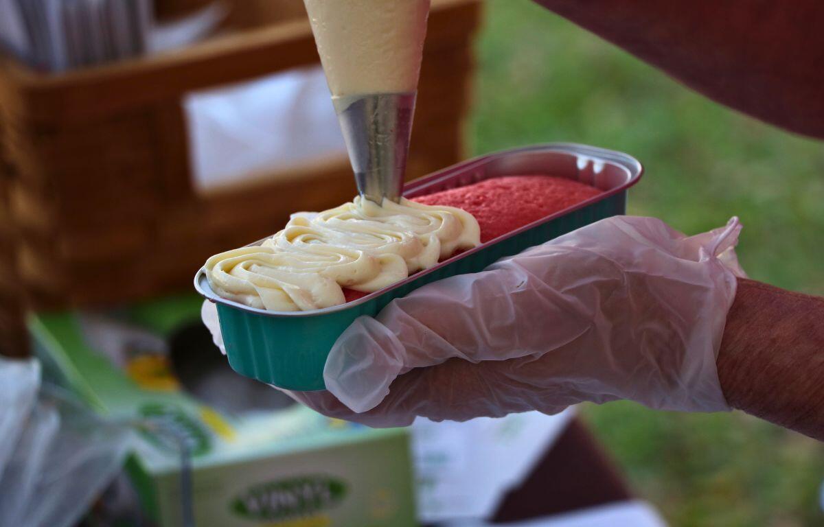 A hand holds a small tray with a pink cake inside. A tube of frosting squeezes frosting onto the cake.