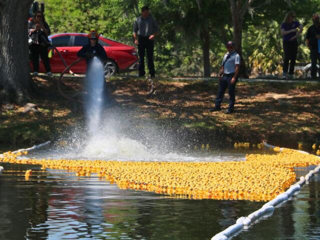 Hundreds of rubber ducks float along a river path marked by a white floating device. A firefighter sprays a strong hose to move them.