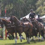 A jumping effort with flags to the left on the, a team of four horses with a driver holding in carriage seat, with navigators on the back, with live oak's with Spanish moss and tents in the background.