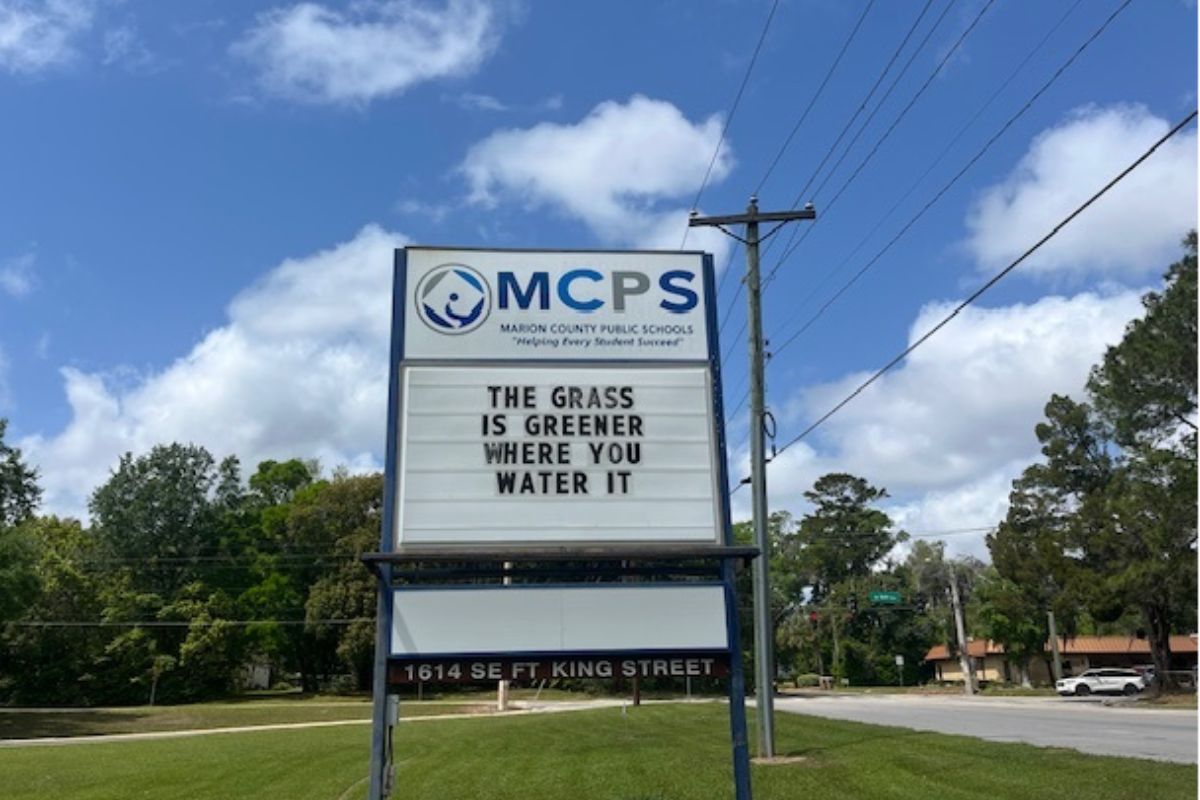 Grass in the foreground, a large sign with a logo and writing, to its immediate right a telephone poll, trees in the background, a hanging street sigh, and cars and building to the right in the background.