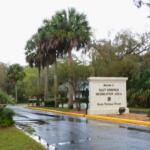 A beige wall stands in the middle of two roads on either side of it. The wall has letters that read, "Salt Springs Recreational Area. Ocala National Forest." On the outer sections of the roads are more walls leading through a forested area. Past the walls are palm trees with the roads winding down wooded paths.