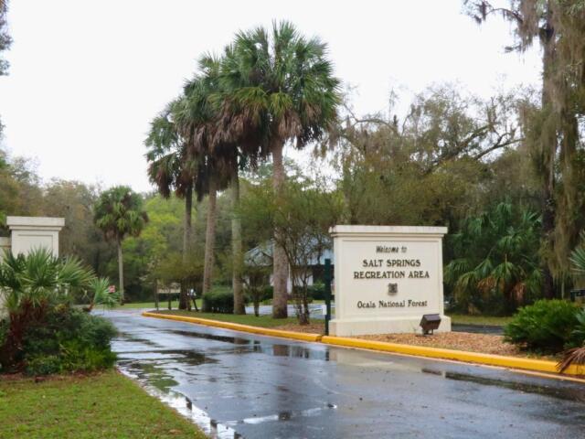 A beige wall stands in the middle of two roads on either side of it. The wall has letters that read, "Salt Springs Recreational Area. Ocala National Forest." On the outer sections of the roads are more walls leading through a forested area. Past the walls are palm trees with the roads winding down wooded paths.