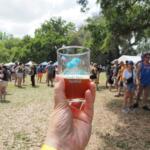 hogtown craft beer festival sampling glass gainesville