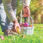 A colored photo of a person in light denim jeans and pink shoes bending down to pick up a colored easter egg from the grass with a basket.