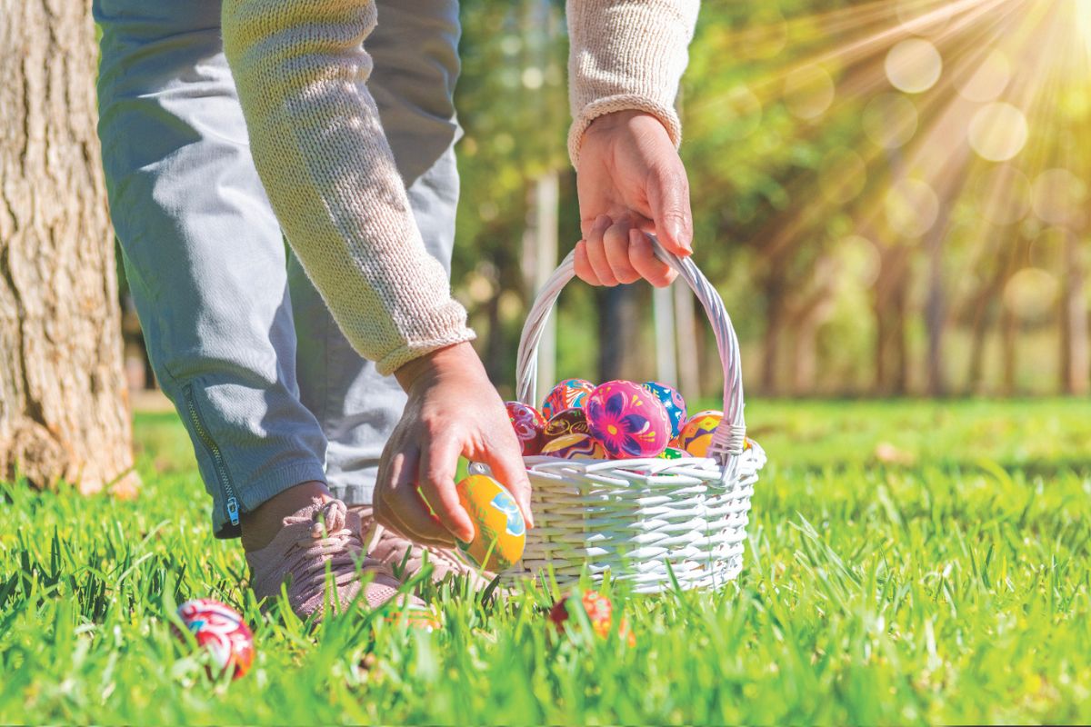 A colored photo of a person in light denim jeans and pink shoes bending down to pick up a colored easter egg from the grass with a basket.