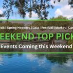 Several Silver Springs glass-bottom boat tours are docked on the Silver River as another boat floats toward the building at the edge of the river. In the foreground is a brown box with a green border. White and green text inside of the box read, "Art Walk | Spring Hoppers | Gala | Festival | Market | Carnival. WEEKEND TOP PICKS. Events Coming this Weekend."