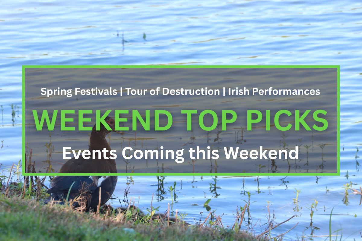 A brown duck with red around the eyes sits on the edge of water on a grassy downward hill. In the foreground is a brown box with a green border. White and green text inside of the box read, "Spring Festivals | Tour of Destruction | Irish Performances. WEEKEND TOP PICKS. Events Coming this Weekend."
