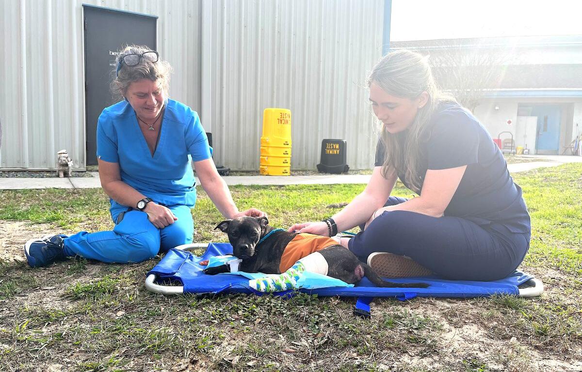 Citrus County Animal Shelter Vet Techs with Dog Outside Current Facility in Inverness