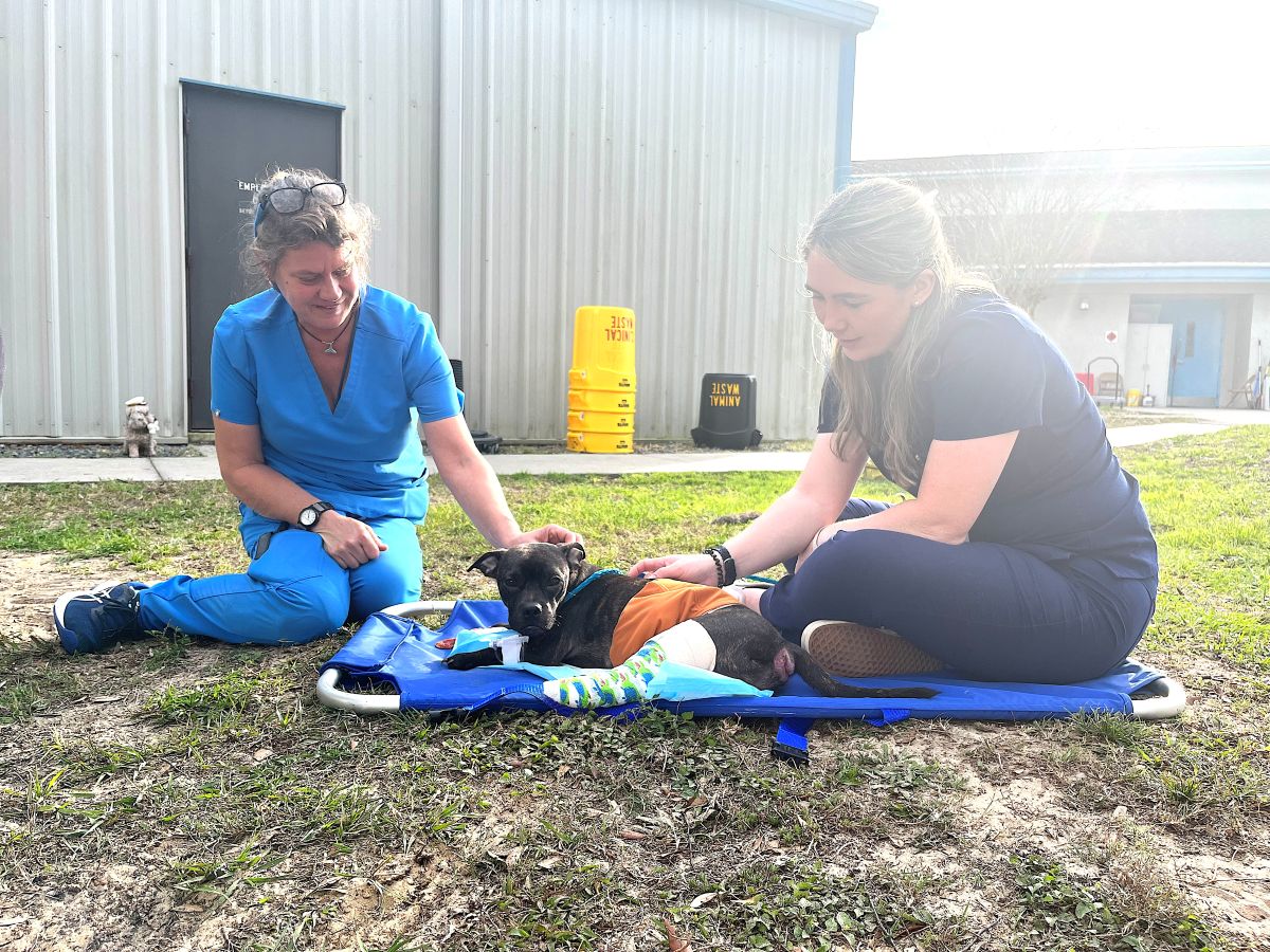 Citrus County Animal Shelter Vet Techs with Dog Outside Current Facility in Inverness