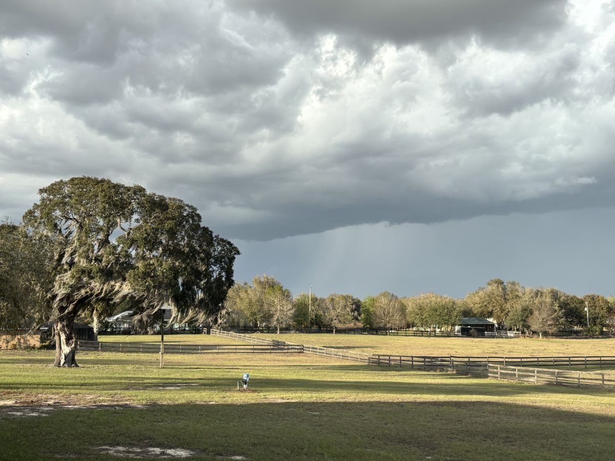 sunny afternoon with a thunderstorm on the horizon in Summerfield